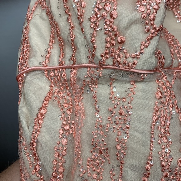 Minuet Pink Embroidered Silver Sequin Formal Dress - Picture 10 of 11
